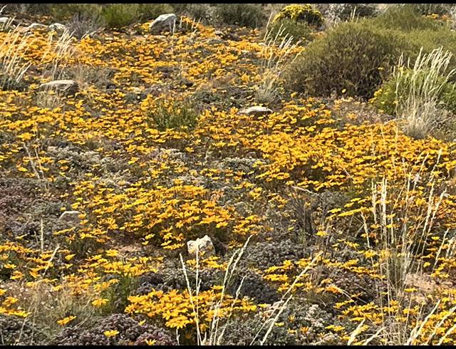 1,175HA FARM FOR SALE IN PRINCE ALBERT RURAL